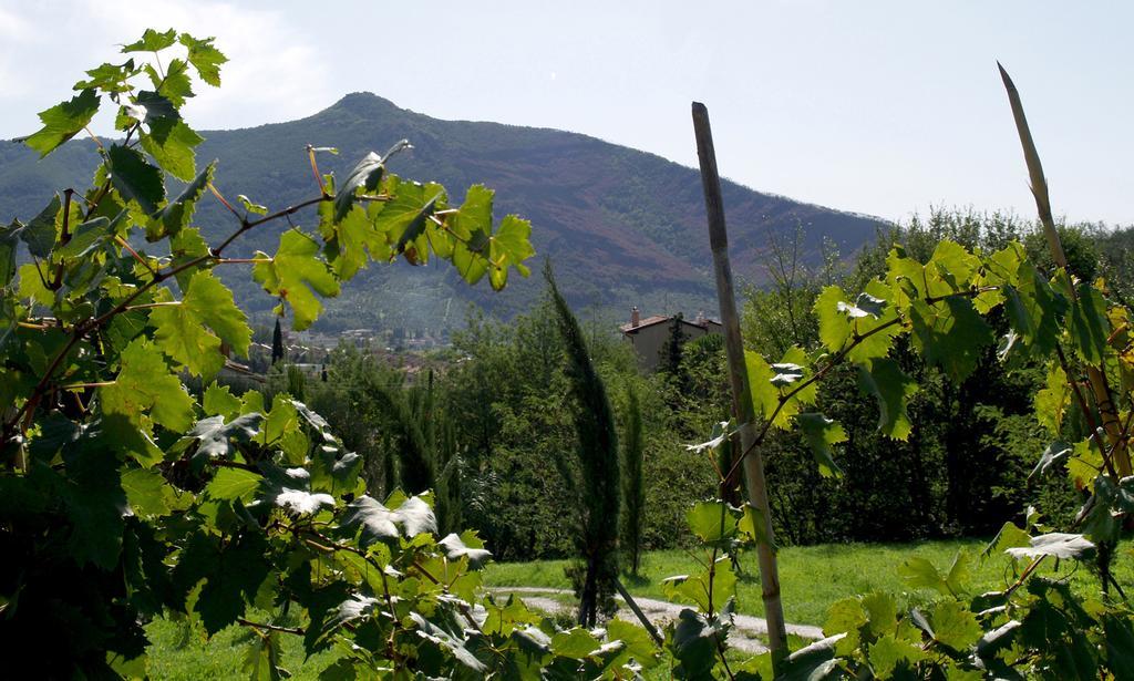 Al Palazzaccio Villa กาลชี ภายนอก รูปภาพ