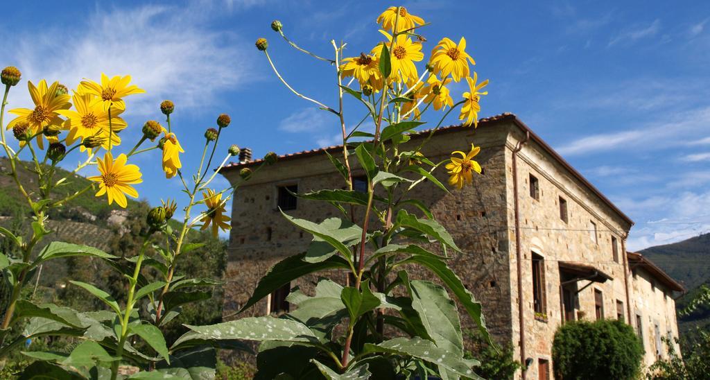 Al Palazzaccio Villa กาลชี ห้อง รูปภาพ